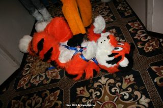 IMG_0428.jpg