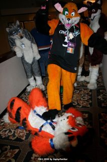 IMG_0429.jpg
