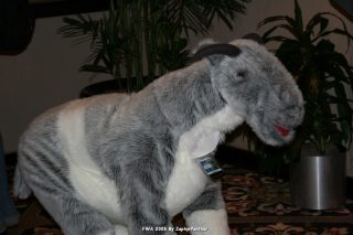 IMG_0452.jpg