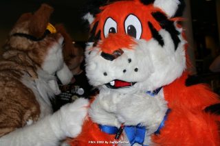 IMG_0473.jpg
