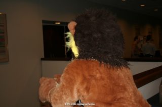 IMG_0489.jpg