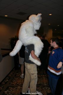 IMG_0508.jpg