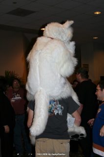 IMG_0510.jpg