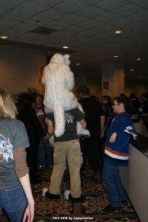 IMG_0511.jpg