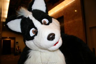 IMG_0525.jpg