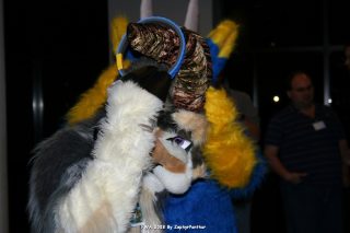 IMG_0568.jpg