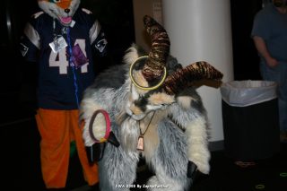 IMG_0574.jpg