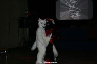 IMG_0581.jpg