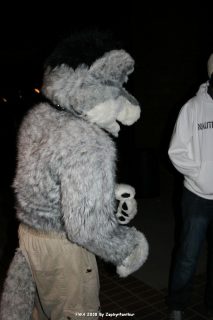 IMG_0600.jpg