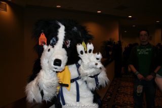 IMG_0619.jpg