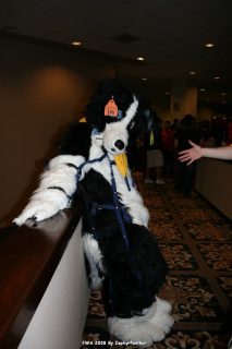IMG_0625.jpg