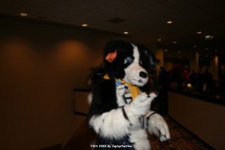 IMG_0627.jpg