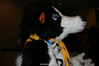 IMG_0628.jpg