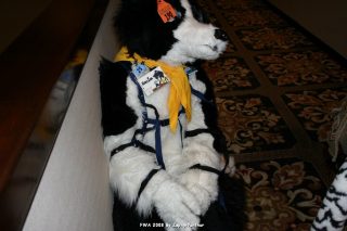 IMG_0630.jpg