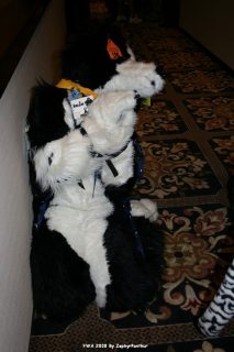 IMG_0631.jpg