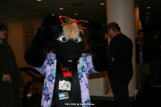 IMG_0677.jpg
