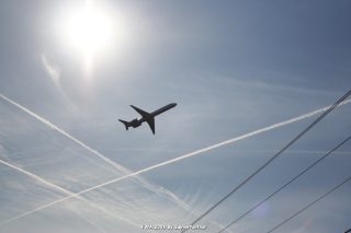 IMG_0696.jpg