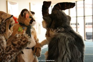 IMG_0756.jpg