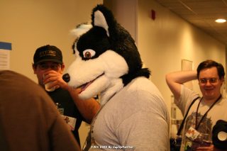 IMG_0762.jpg