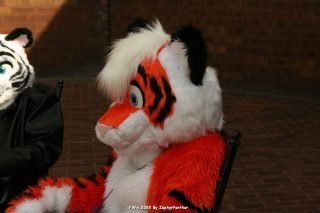 IMG_0781.jpg