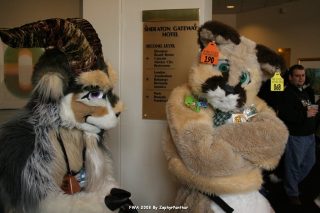 IMG_0789.jpg