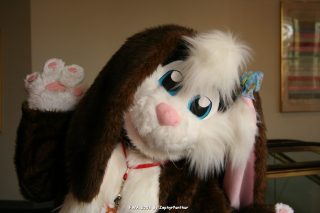 IMG_0795.jpg