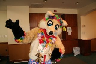 IMG_0883.jpg
