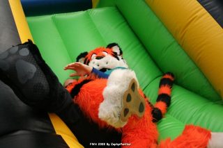 IMG_0890.jpg