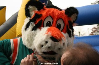 IMG_0897.jpg
