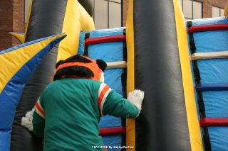 IMG_0908.jpg