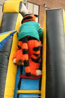IMG_0914.jpg
