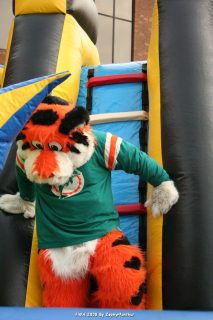 IMG_0917.jpg
