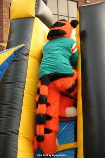 IMG_0927.jpg