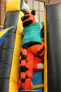 IMG_0928.jpg