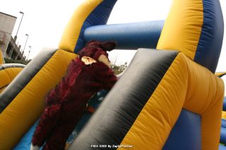 IMG_0942.jpg