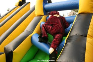 IMG_0947.jpg