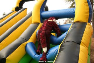 IMG_0948.jpg