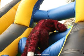IMG_0949.jpg