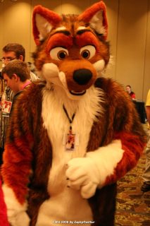 IMG_1042.jpg