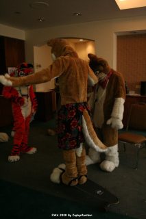 IMG_1118.jpg