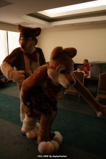 IMG_1123.jpg