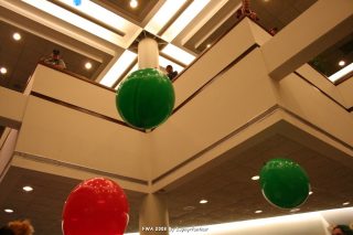 IMG_1386.jpg