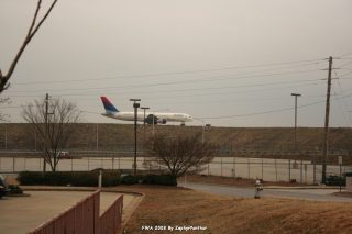 IMG_1584.jpg