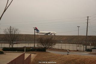 IMG_1585.jpg