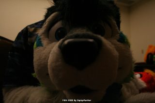 IMG_1639.jpg