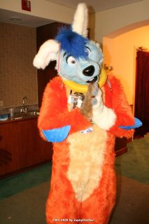IMG_1667.jpg
