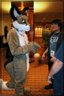 IMG_3149.jpg