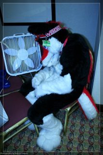 IMG_3287.jpg