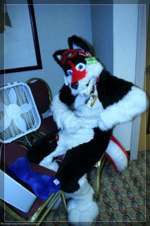 IMG_3300.jpg