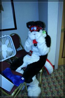 IMG_3302.jpg
